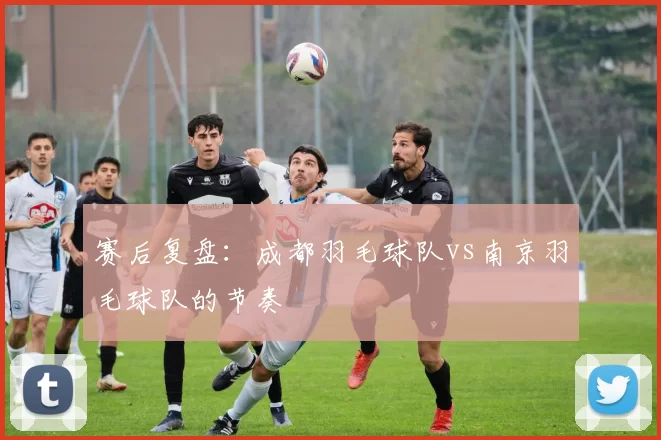 赛后复盘：成都羽毛球队vs南京羽毛球队的节奏